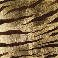 Zebra Skin Fine Art Print