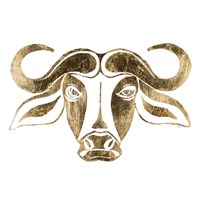 The Bull Fine Art Print