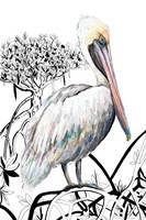 Pelican on Branch II Fine Art Print