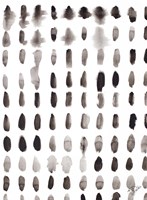 Spots Fine Art Print