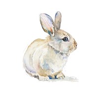 Baby Rabbit Fine Art Print