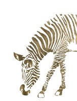 Gold Zebra Fine Art Print
