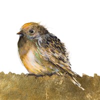 Gold Bird Fine Art Print