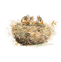 The Nest Fine Art Print