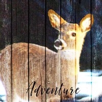 Adventure Awaits Fine Art Print