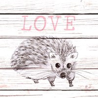 Hedgehog Love Fine Art Print