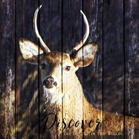 Discover the Beauty Fine Art Print