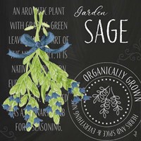 Garden Grown Herbs II Framed Print