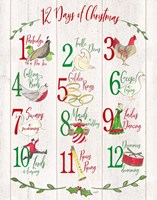 12 Days of Christmas sign Fine Art Print