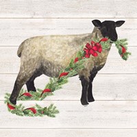 Christmas on the Farm V Sheep Framed Print