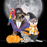 Fright Night Friends III Pirate Pug Framed Print