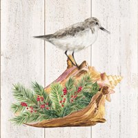 Christmas on the Coast III Framed Print