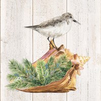 Christmas on the Coast Aqua III Framed Print