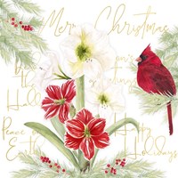 Merry Amaryllis III Fine Art Print