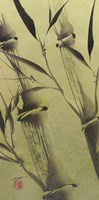 Bamboo's Peace Fine Art Print