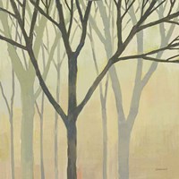 Spring Trees II Fine Art Print