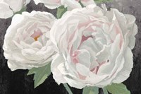 Essence of June II Black Fine Art Print