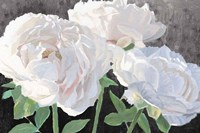 Essence of June I Black Fine Art Print