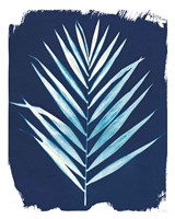 Nature By The Lake - Frond III Fine Art Print