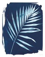 Nature By The Lake - Frond II Fine Art Print