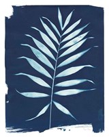 Nature By The Lake - Frond I Fine Art Print