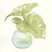 Plant Big Leaf III Fine Art Print