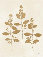 Botanical Study IV Gold Crop Framed Print