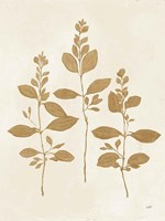 Botanical Study IV Gold Crop Fine Art Print