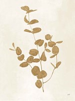 Botanical Study II Gold Crop Framed Print