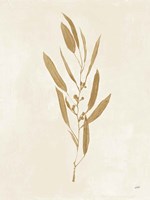 Botanical Study I Gold Crop Framed Print