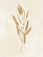 Botanical Study I Gold Crop Fine Art Print