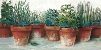 Pots of Herbs II White Fine Art Print