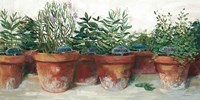 Pots of Herbs I White Fine Art Print