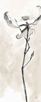 Solitary Dogwood IV Taupe Crop Fine Art Print