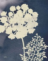 Dark Blue Sky Garden IV Fine Art Print