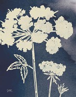 Dark Blue Sky Garden III Fine Art Print