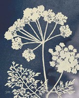 Dark Blue Sky Garden II Fine Art Print