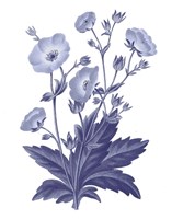 Dark Blue Botanical VI Framed Print