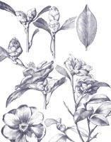 Lithograph Florals II Blue Framed Print