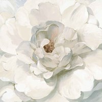 Neutral Peony Fine Art Print