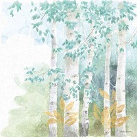 Natures Leaves III Framed Print