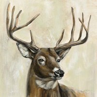 Bronze Deer Fine Art Print