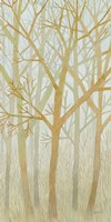 Spring Trees I Fine Art Print
