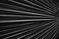 Tropical IV Fine Art Print