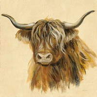 Highland Animal Cow Framed Print