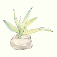 Succulent III Fine Art Print