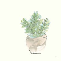 Succulent II Fine Art Print