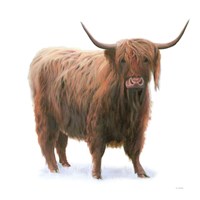 King of the Highland Fields on White Fine Art Print