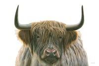 Highlander Fine Art Print