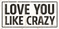 Love You Like Crazy Fine Art Print